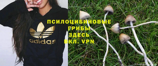 тгк Армянск